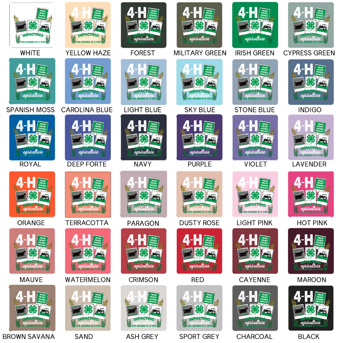 4-H Polaroid – Crewneck