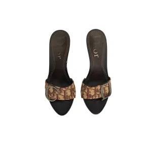 Dior Brown Logo Heels