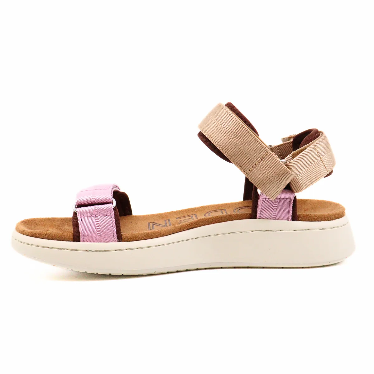 Line Multi Rose