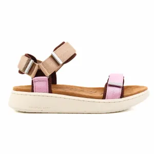 Line Multi Rose