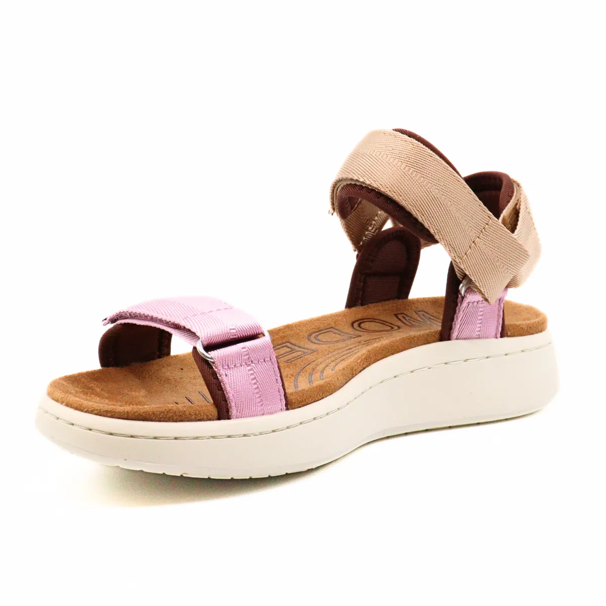 Line Multi Rose