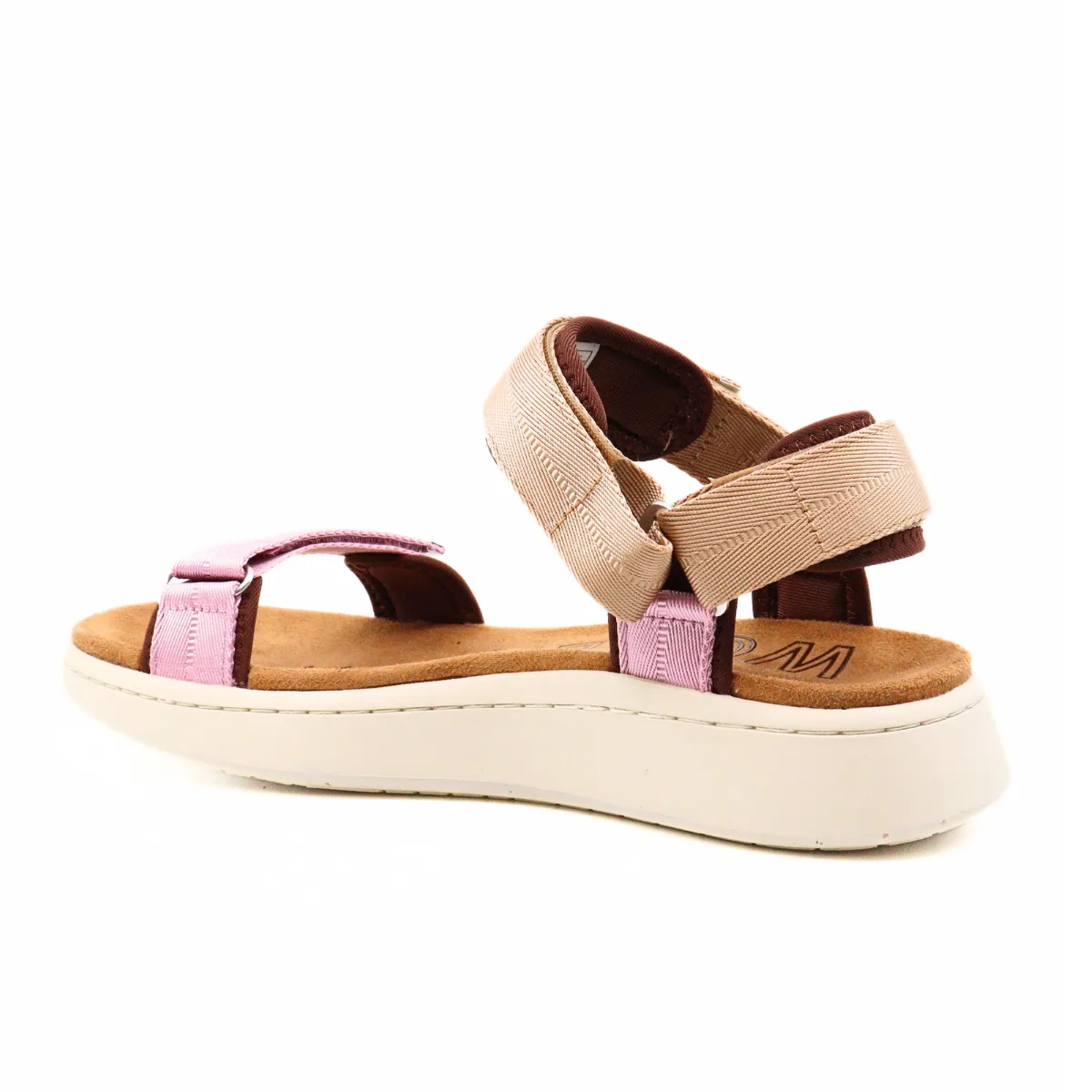Line Multi Rose