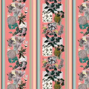 Suwannee Stripe, Climbing Rose